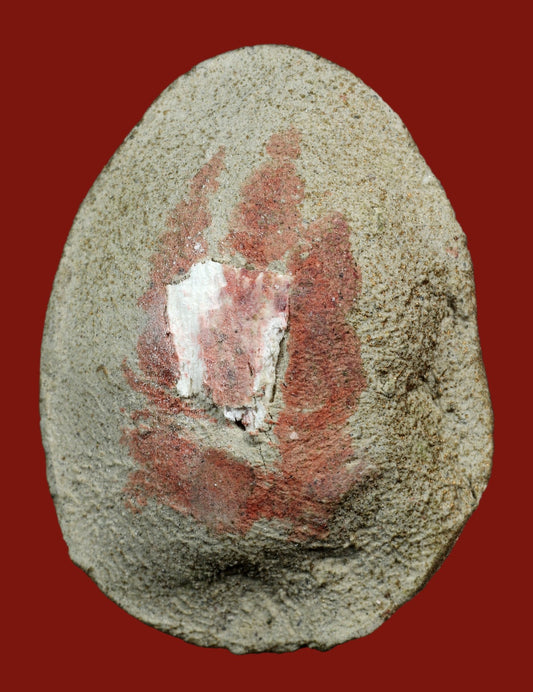 古巴嬌瑪 屈旺棟 佛歷2544年 千靈必打 理事版 - 298 Thai Amulet 泰國佛牌專門店