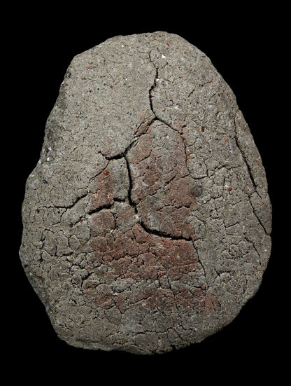 古巴嬌瑪 屈旺棟 佛歷2544年 千人鬼兵必打 試模 - 298_thai_amulet