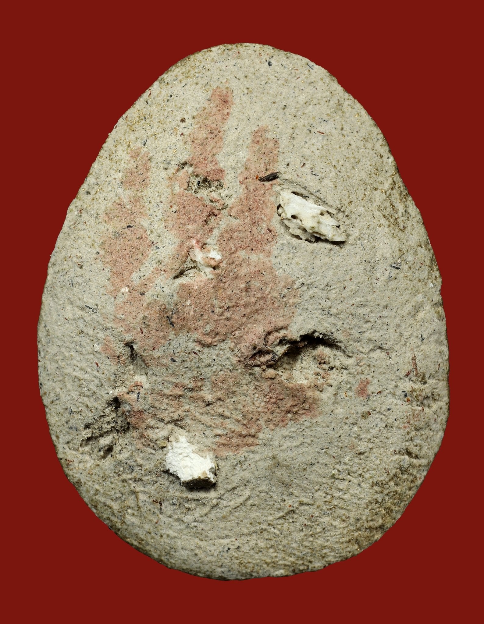 古巴嬌瑪 屈旺棟 佛歷2544年 千靈必打 理事版 - 298_thai_amulet